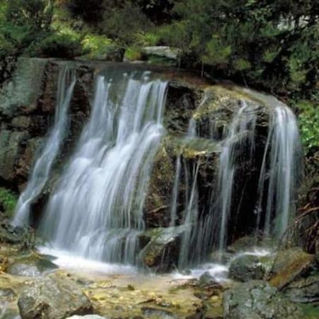 La Candela Cercedilla Esterno foto